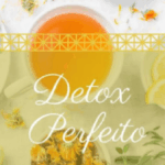 Detox Perfeito